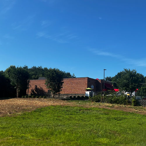 commercial property clean by forestry mulching